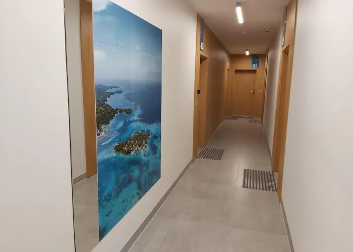 Spectrum Super Vip Free Parking Appartement